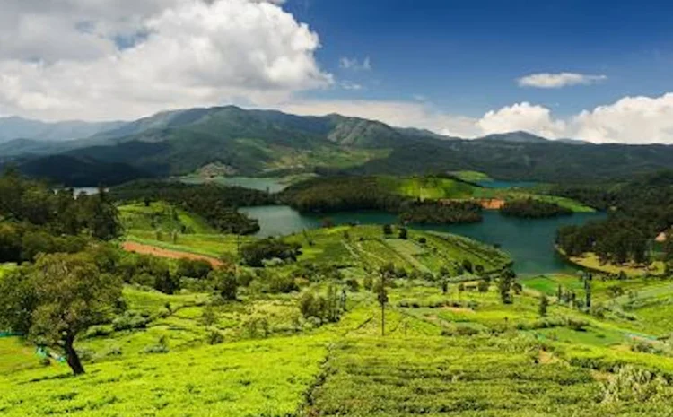  Ooty: The Queen of Hill Stations