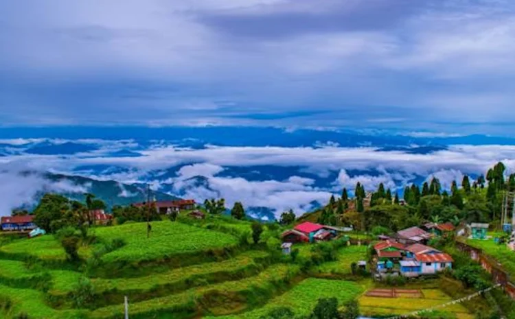  Darjeeling: The Queen of the Hills